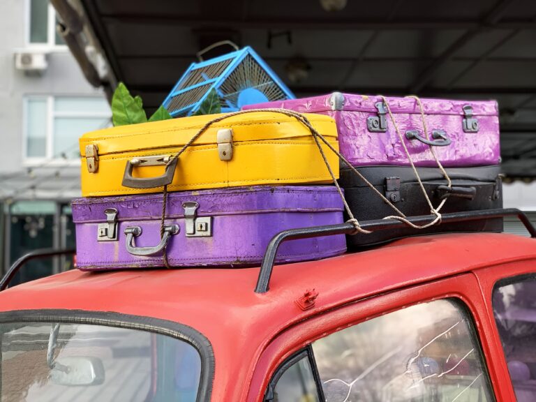 colorful-full-suitcases-and-cage-for-bird-are-on-r-2025-02-25-08-05-25-utc-min