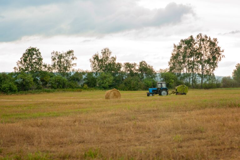 a-tractor-is-driving-across-the-field-mowing-the-2025-02-10-14-39-25-utc-min