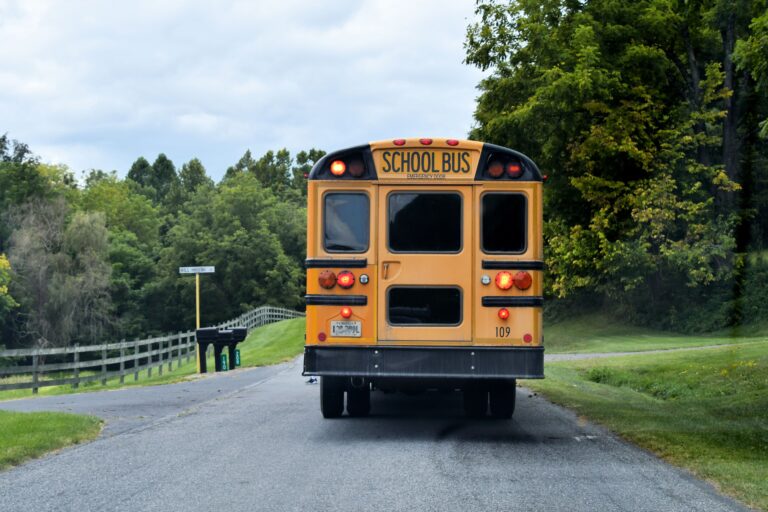 bus
